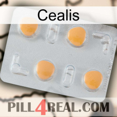 Cealis 24